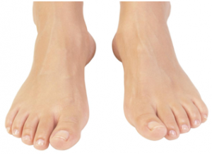 תוצאת תמונה עבור רגליים